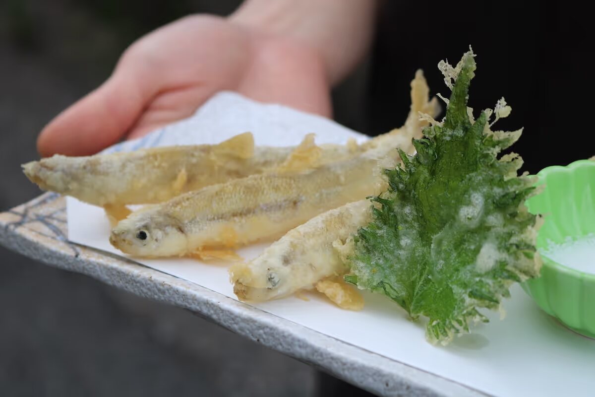 Tempura of chika smelt
