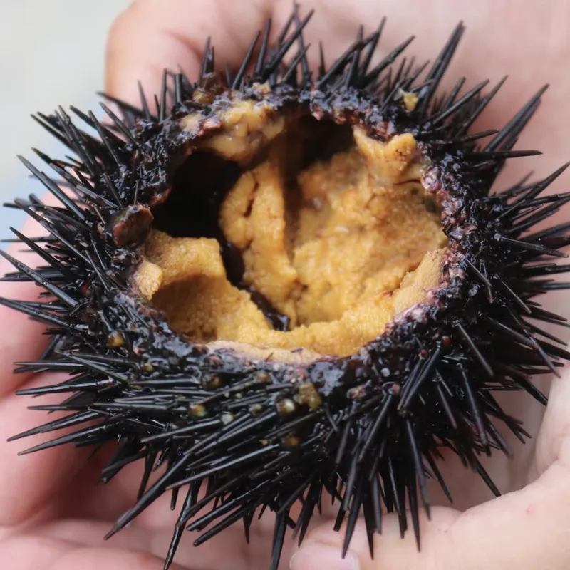 大将の料理・仕入れの様子 6