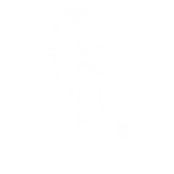 若狭湾天然活魚料理 大将